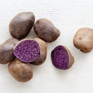 Purple Majesty Potatoes - Seed Tubers - 2 Lbs - Brown - Garden Planting