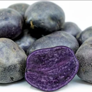 Purple Majesty Potatoes - Seed Tubers - 2 Lbs - Brown - Garden Planting