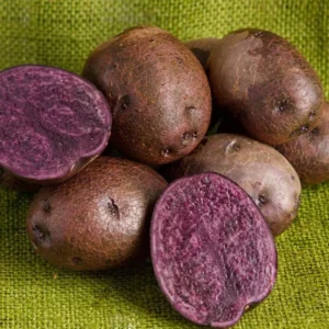 Purple Majesty Potatoes - Seed Tubers - 2 Lbs - Brown - Garden Planting