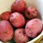 Red Potato Seed Tubers - 8 Small Red Potatoes for Planting