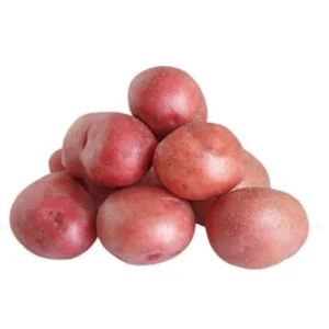 Red Potato Seed Tubers - 8 Small Red Potatoes for Planting