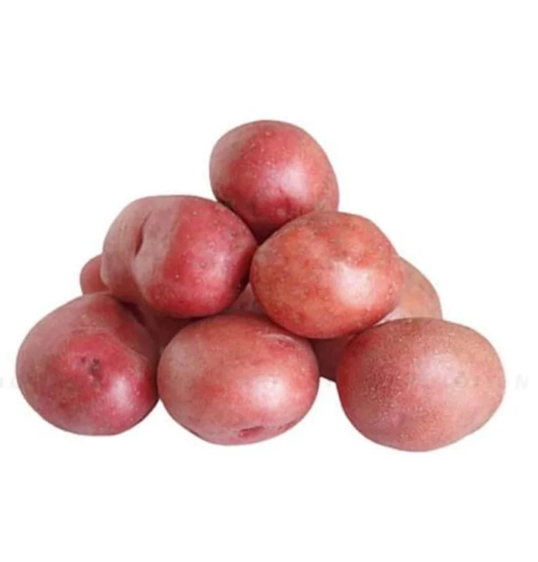 Red Potato Seed Tubers - 8 Small Red Potatoes for Planting