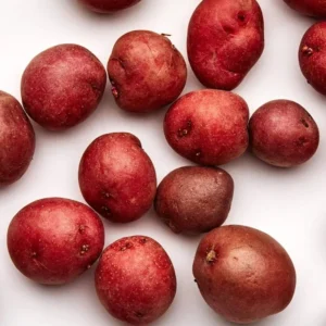 Red Potato Seed Tubers - 8 Small Red Potatoes for Planting
