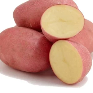 Red Potatoes Seed Potatoes - 2 Lbs Whole Tubers for Planting