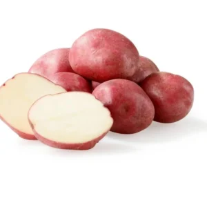 Red Potatoes Seed Potatoes - 2 Lbs Whole Tubers for Planting