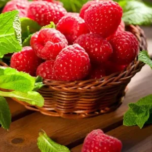 Red Raspberry Plants Live Set of 2 - Sweet Raspberry Fruit Seedlings