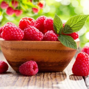 Red Raspberry Plants Live Set of 2 - Sweet Raspberry Fruit Seedlings