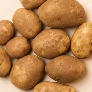 Russet Potatoes Seed Potatoes - 2 Lbs Brown Whole Tubers