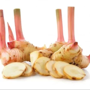 Thai Ginger Plant Set - 3 Live Galangal Herb Plants 5-8 Inch - Indoor/Outdoor Garden