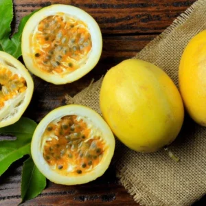 Yellow Passion Plant Live - 2 Pack - Passion Fruit Tree - Garden Ready