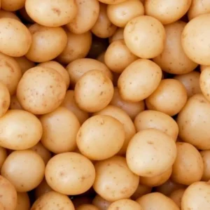 Yellow Potato Seed Tubers - Small Whole Potatoes for Planting