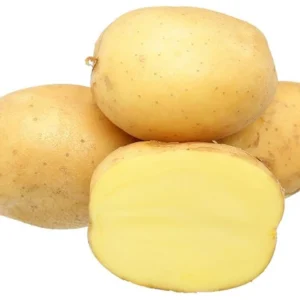 Yellow Potato Seeds Whole Tubers - 2 Lbs Seed Potatoes for Planting