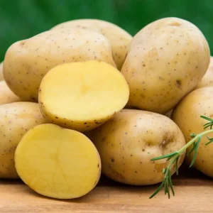 Yellow Potato Seeds Whole Tubers - 2 Lbs Seed Potatoes for Planting