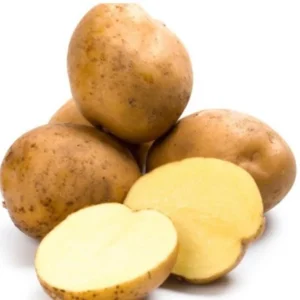 Yellow Potato Seeds Whole Tubers - 2 Lbs Seed Potatoes for Planting