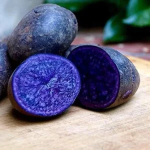 Purple Majesty Potatoes - Seed Tubers - 2 Lbs - Brown - Garden Planting
