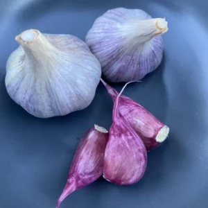 4 Peruvian Purple Stripe Garlic Bulbs for Planting and Gardening, Hardneck Garlic Tubers Purple Garlic