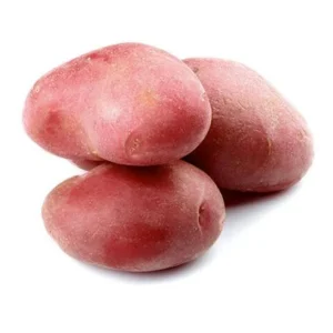 Red Potatoes Seed Potatoes - 2 Lbs Whole Tubers for Planting