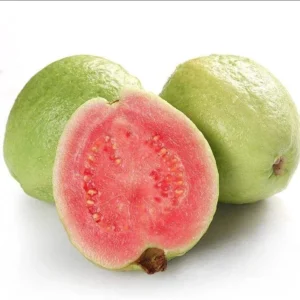 Pink Guava Tree Live Plant 4
