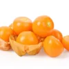 2 Cape Gooseberries Live Plants for Planting 4"Pot 8"-10"Tall Ground Cherry Tree