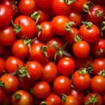 2 Cherry Tomato Live Plants Per Pot, 4"Pot, 10"Tall, Sweetie Tomato for Planting