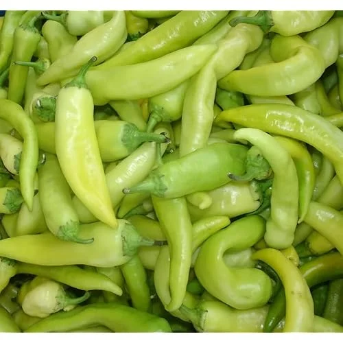 2 Live Sweet Banana Pepper Plants - Sweet Peppers - 4 to 6 Inches Tall