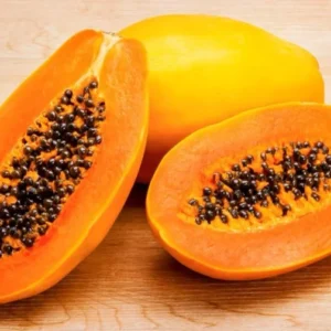 2 Marodal Papaya Tree Live Plants Mexico Papaya Tree 4"Pot Fruit Tree for Garden