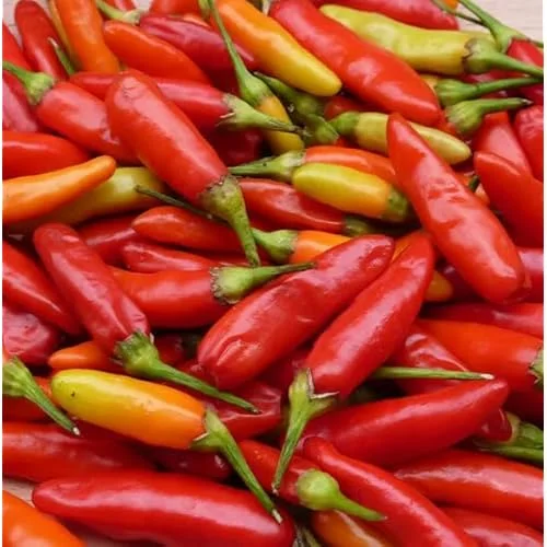 2 Pepper Live Plants - Pepper Hot Tabasco Plants Hot Chili Pepper Plants for Home Garden