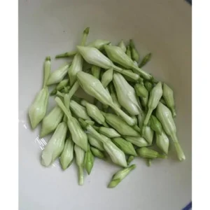 25 Seeds Loroco Plant Seeds - White Loroco Flowers, Edible Vegetable Seeds