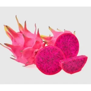 3 Dragon Fruit Plant Cuttings - Mixed Color, 6-12 Inch, Unrooted Pitaya