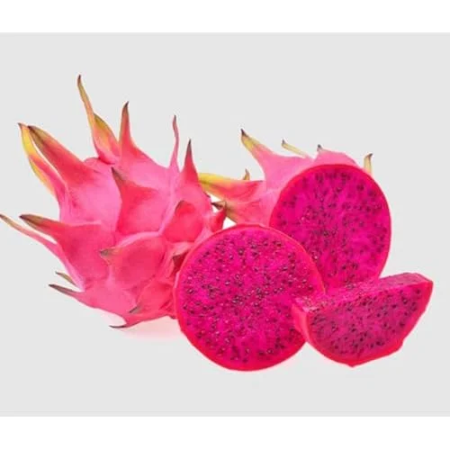 3 Dragon Fruit Plant Cuttings - Mixed Color, 6-12 Inch, Unrooted Pitaya