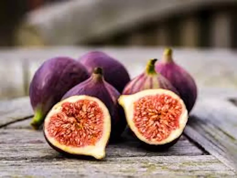 3 Fig Tree Black Mission Ficus Carica Starter Plant Edible Fig Fruit