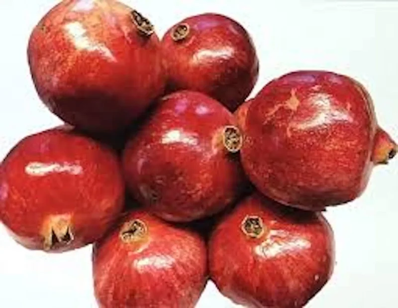 3 Pomegranate Wonderful Punica Granatum Fruit Tree Starter Plant, Edible Fruit