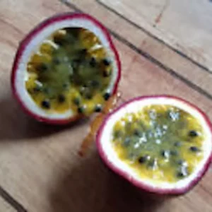 3 Possum Purple Passion Fruit Starter Plant Passiflora Edulis Self-Fertile Vine