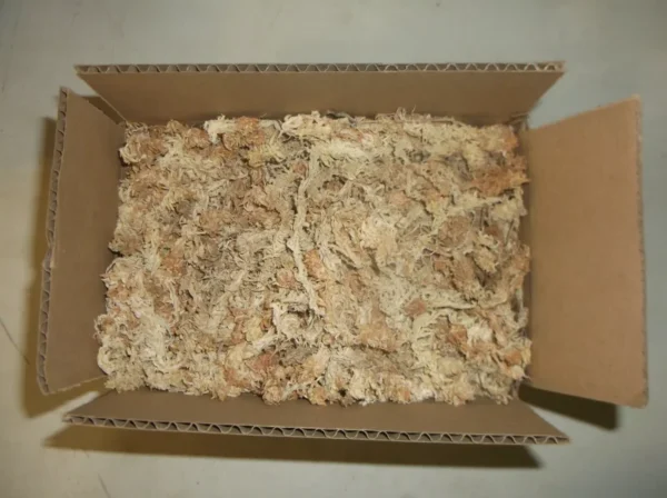 4.5 Ounces New Zealand Long Fibered Sphagnum Moss - Premium Plant Substrate
