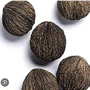 5 Black Walnut Seeds Juglans Nigra Perennial Nut Tree Northern Hardy Shade
