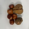 5 Yellow Buckeye Tree Seeds Aesculus Octandra - Fast-Growing Shade Tree