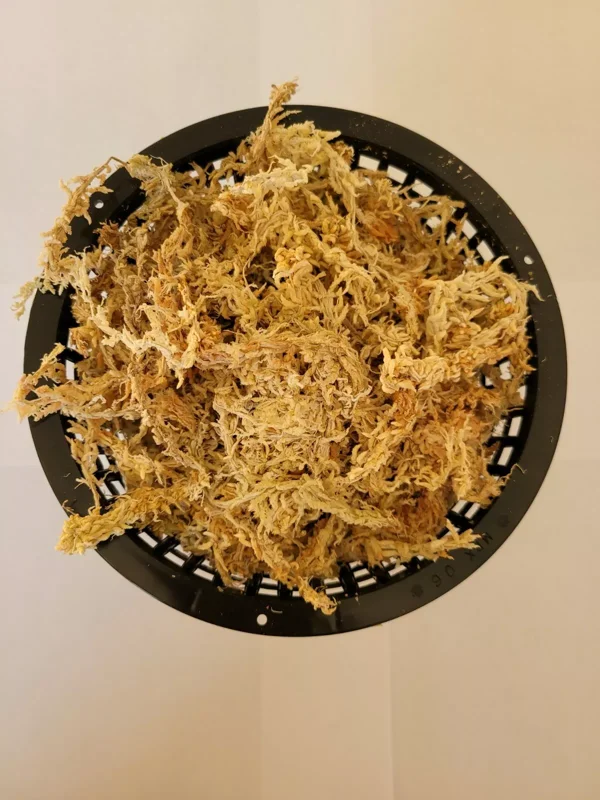 6 Inch Net Pot with New Zealand Sphagnum Moss - High-Quality Growing Medium