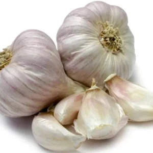 8 Mixed Garlic Bulbs for Planting and Gardening, Hardneck Garlic Tubers, White Red Purple Garlic Bulbs
