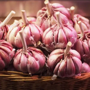 8 Red Russian Garlic Bulbs for Planting and Gardening, Hardneck Garlic Tubers