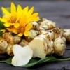 8oz Sunchoke Tubers Fresh Sunchoke Bulbs for Eating or Planting Outdoor Garden