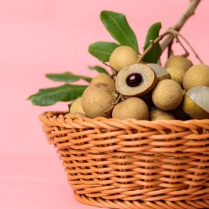 A Longan Live Fruit Plant Fruit Tree Tropical Plant for Garden 4" Pot 6"-8" Tall