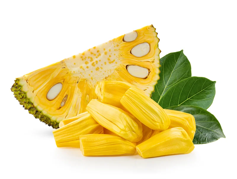 A One Year JackFruit Tree Seedling Live Plant 8"-10"Tall 4"Pot Fruit Tree Garden