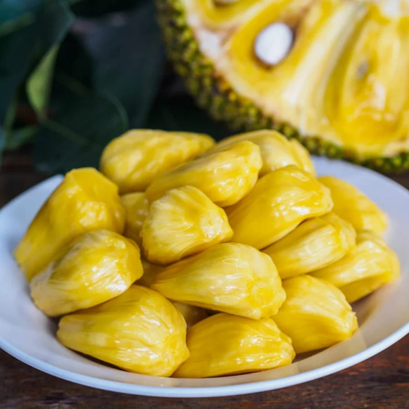 A One Year JackFruit Tree Seedling Live Plant 8"-10"Tall 4"Pot Fruit Tree Garden