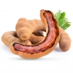 A Tamarind Tree Seedling Live Plant 4"Pot for Planting Outdoor Home Garden Decor