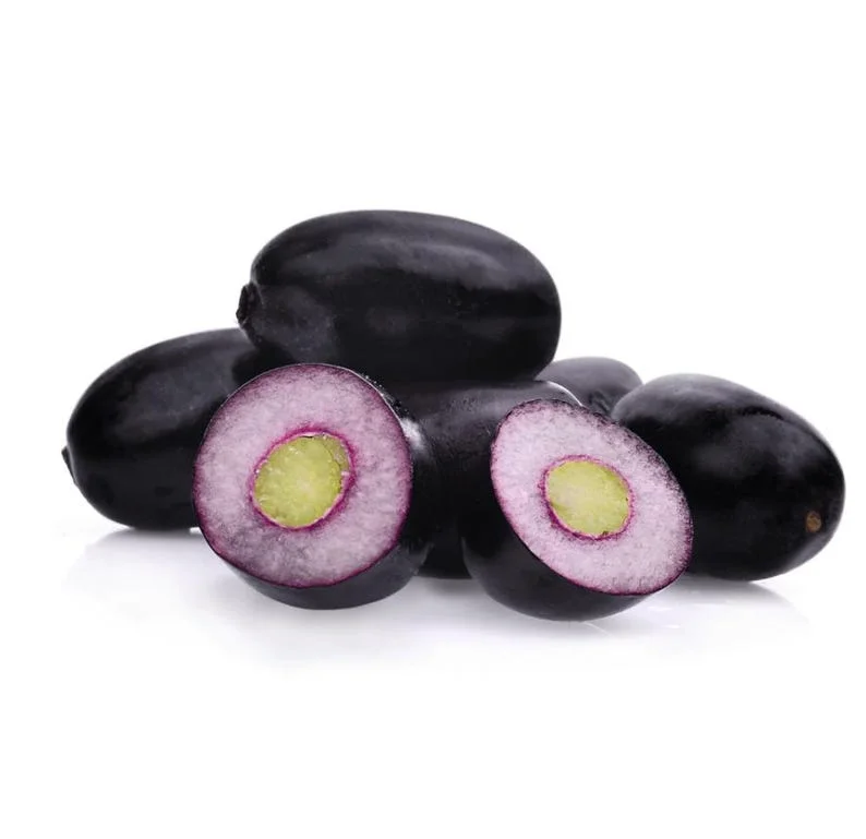 Black Java Plum Tree Live Plant - 7-12 Inch Sweet Malabar Plum Fruit Tree