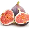 Black Mission Fig Tree - Live Fig Plant 4-7 Inches - Garden Starter Plant