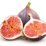Black Mission Fig Tree - Live Fig Plant 4-7 Inches - Garden Starter Plant