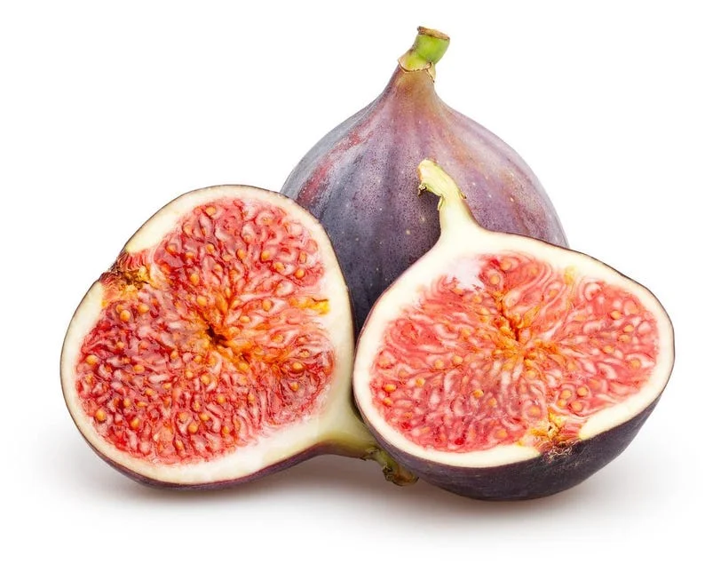 Black Mission Fig Tree - Live Fig Plant 4-7 Inches - Garden Starter Plant