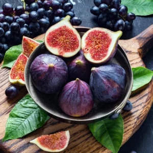 Black Mission Fig Tree - Live Fig Plant 4-7 Inches - Garden Starter Plant