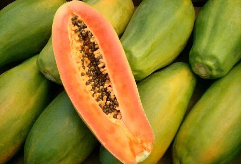 Caribbean Red Papaya Seeds - 200 Sweet Fruit Seeds for Planting